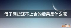 借了网贷还不上会的后果是什么呢