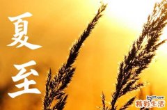夏至在端午前有什么说法