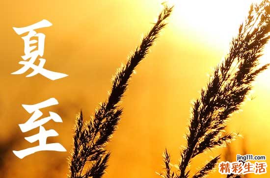夏至在端午前有什么说法