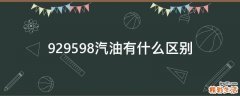 929598汽油有什么区别