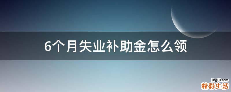 6个月失业补助金怎么领