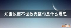 知世故而不世故完整句是什么意思