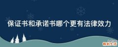 保证书和承诺书哪个更有法律效力