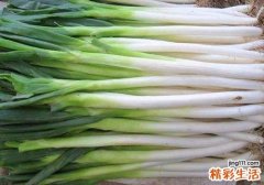 葱含什么营养 葱吃了有什么功效