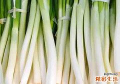 怎么挑选大葱 买回来的大葱如何保存