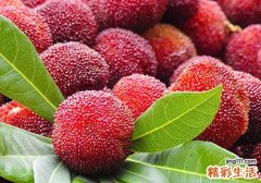 杨梅和黄瓜能一起吃吗 杨梅和萝卜能一起吃吗