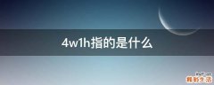 4w1h指的是什么