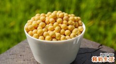 纳豆黄豆一样的吗 纳豆就是黄豆吗
