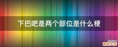 下巴吧是两个部位是什么梗