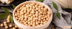 纳豆一天吃多少合适 吃纳豆能减肥吗