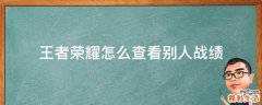 王者荣耀怎么查看别人战绩