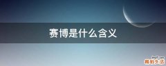 赛博是什么含义