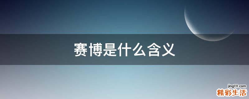 赛博是什么含义