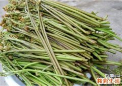 蕨菜头能吃吗 蕨菜的做法