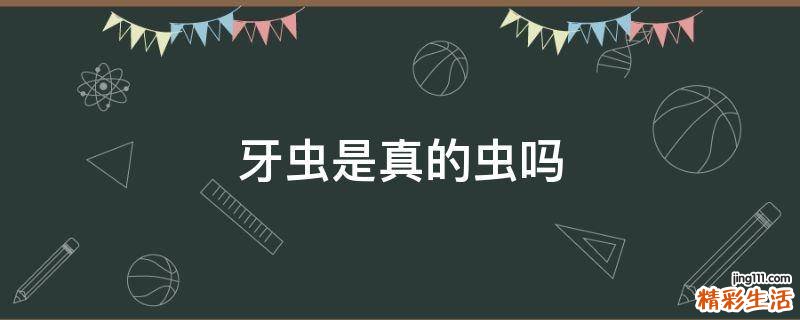 牙虫是真的虫吗