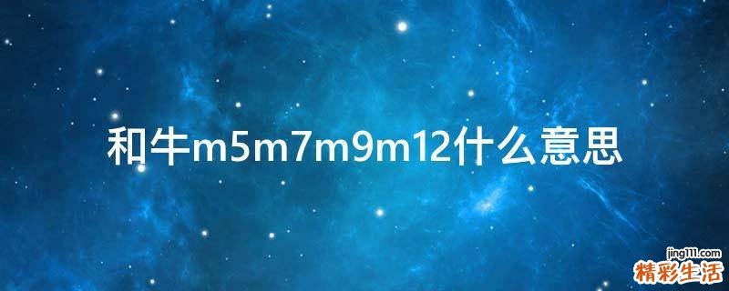 和牛m5m7m9m12什么意思
