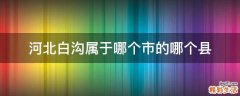 河北白沟属于哪个市的哪个县