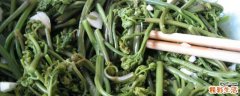 蕨菜头上的花可以吃吗 蕨菜老了还能吃吗