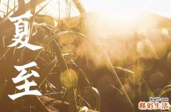 2023年6月21日夏至,夏至三庚入头伏,23年入伏时间确定