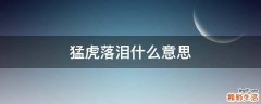 猛虎落泪什么意思
