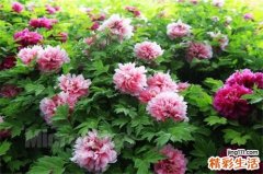 3 赶走职场消极情绪