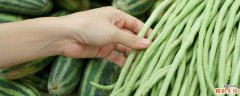 长豆角半生不熟有毒吗 吃豆角中毒几个小时会出现症状