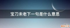 宝刀未老下一句是什么意思