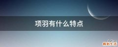 项羽有什么特点