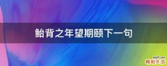鲐背之年望期颐下一句