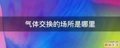 气体交换的场所是哪里