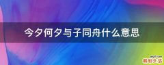 今夕何夕与子同舟什么意思