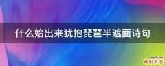 什么始出来犹抱琵琶半遮面诗句