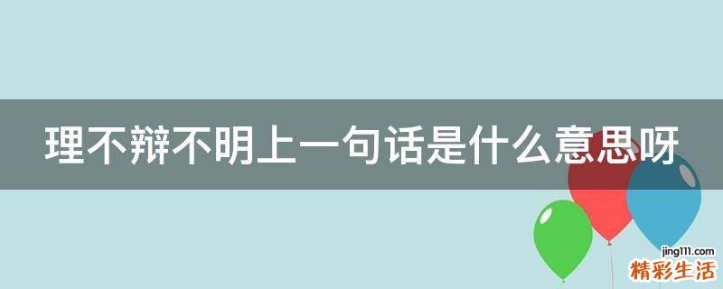 理不辩不明上一句话是什么意思呀