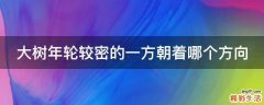 大树年轮较密的一方朝着哪个方向