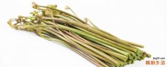 蕨菜吃的是哪个部分 蕨菜有什么营养价值