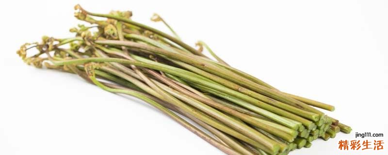 蕨菜吃的是哪个部分 蕨菜有什么营养价值