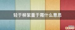 轻于柳絮重于霜什么意思