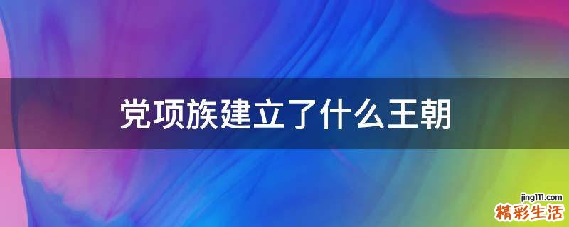 党项族建立了什么王朝