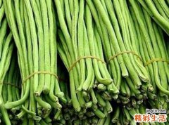 吃豆角有什么好处 常吃豆角的4个好处