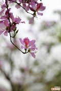 滴鼻药千万别乱用