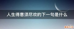 人生得意须尽欢的下一句是什么