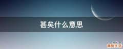 甚矣什么意思