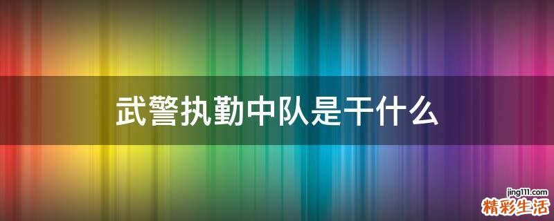 武警执勤中队是干什么