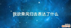 我欲乘风归去表达了什么