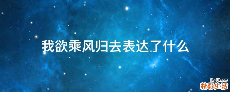 我欲乘风归去表达了什么