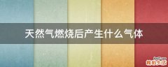 天然气燃烧后产生什么气体