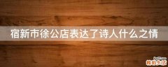 宿新市徐公店表达了诗人什么之情