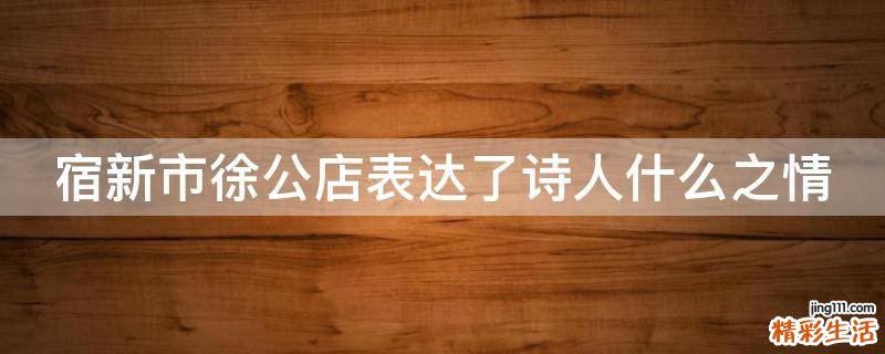 宿新市徐公店表达了诗人什么之情