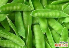 荷兰豆生吃有毒吗