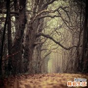 男人为什么在乎处女情结